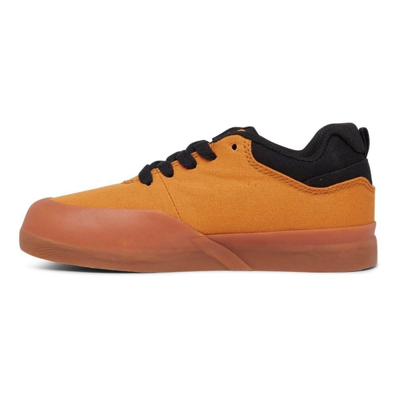 Dětské Skate Boty DC Shoes Infinite Hnědé Černé | RACS-65398