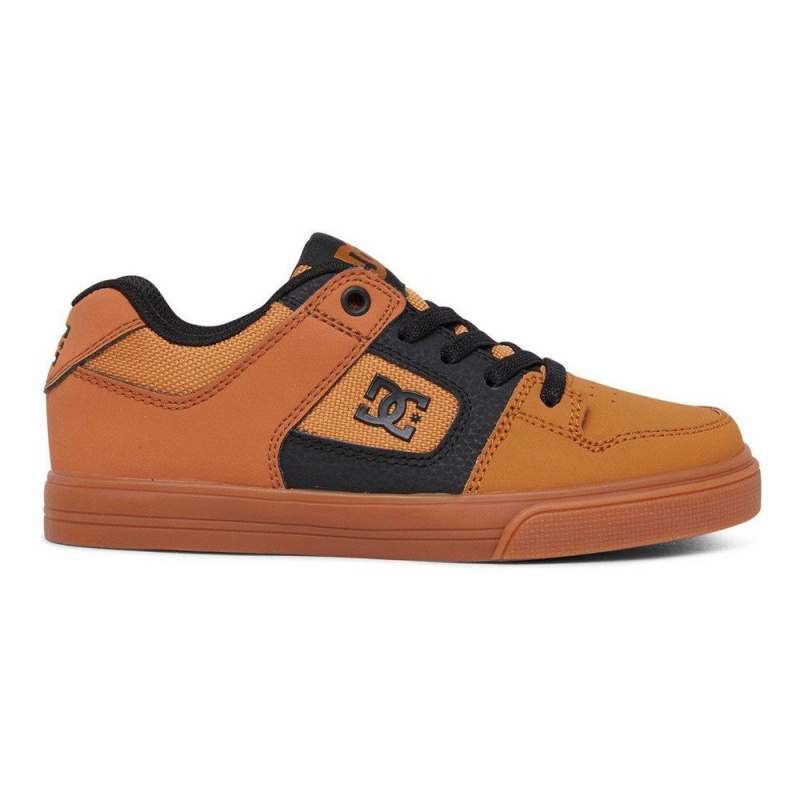 Dětské Skate Boty DC Shoes Pure Hnědé Černé | YZNM-38106