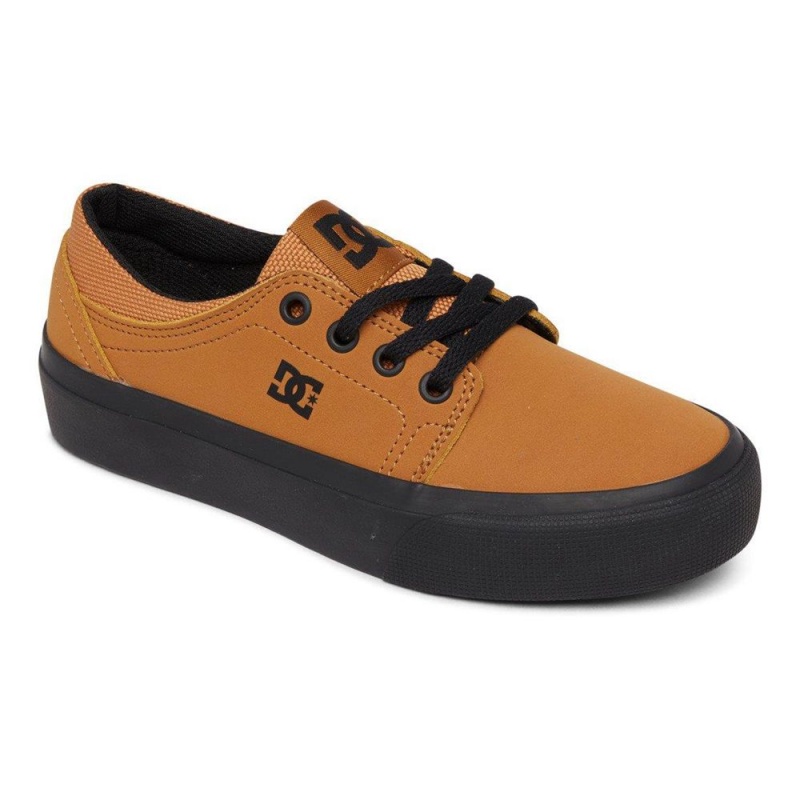 Dětské Skate Boty DC Shoes Trase Hnědé Černé | YJWT-64193