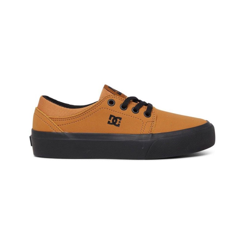 Dětské Skate Boty DC Shoes Trase Hnědé Černé | YJWT-64193