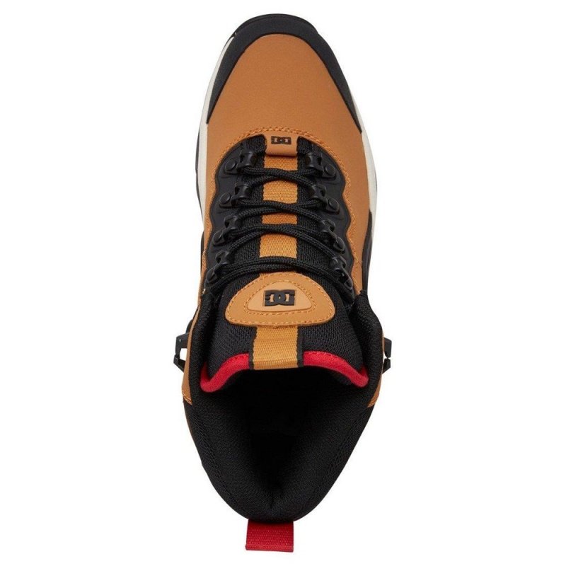 Pánské Boty DC Shoes Navigator Hnědé Červené | FHBC-06738