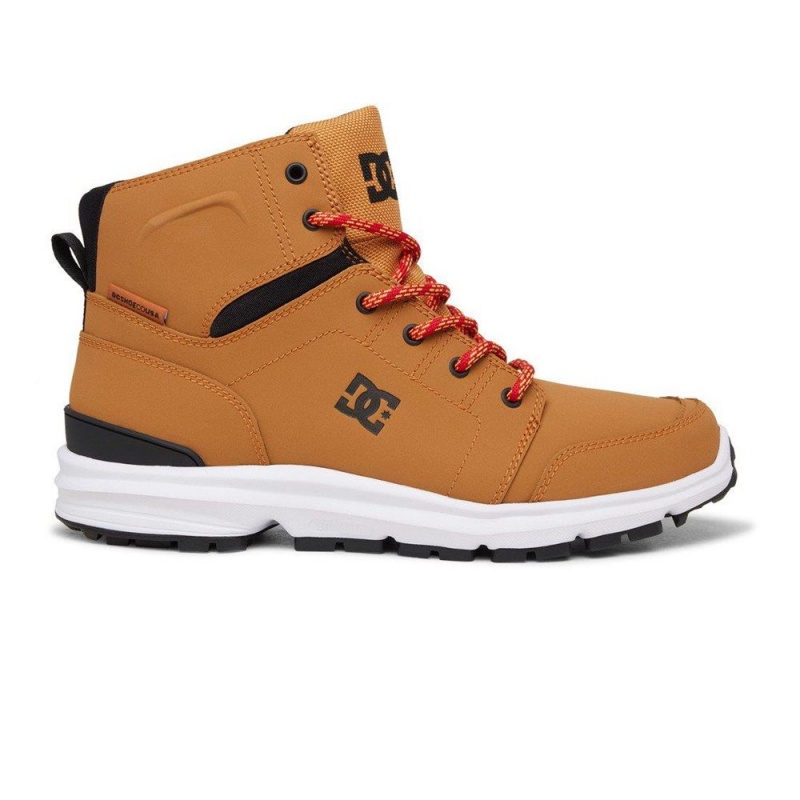 Pánské Boty DC Shoes Torstein Hnědé Černé | LDFT-34807