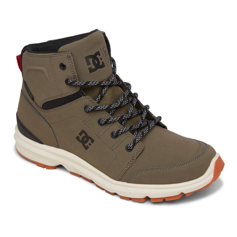 Pánské Boty DC Shoes Torstein Zelene Černé | EZFC-57263