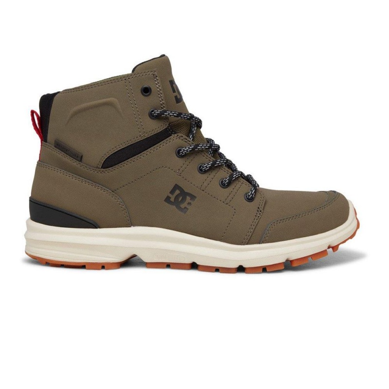 Pánské Boty DC Shoes Torstein Zelene Černé | EZFC-57263