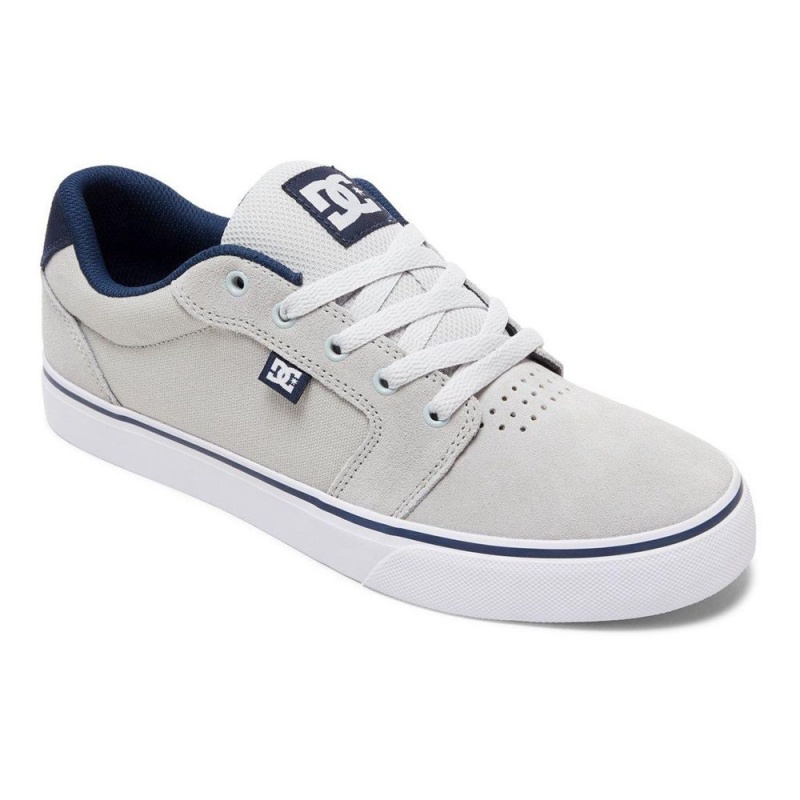 Pánské Skate Boty DC Shoes Anvil Šedé Blankyt | IZOD-83751