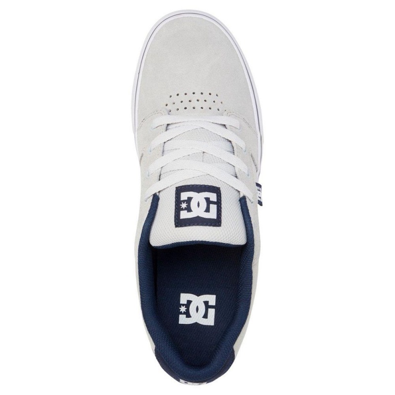 Pánské Skate Boty DC Shoes Anvil Šedé Blankyt | IZOD-83751