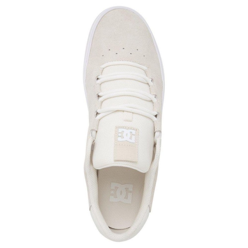 Pánské Skate Boty DC Shoes Hyde Šedé | KZFX-63124