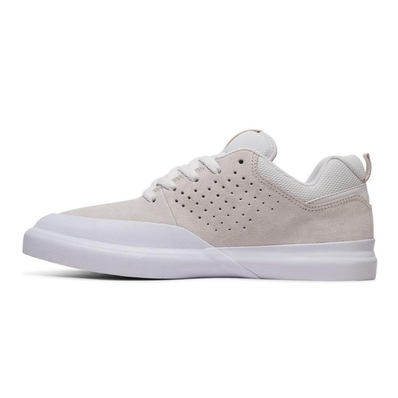 Pánské Skate Boty DC Shoes Infinite Šedé Bílé | ZWYR-63127