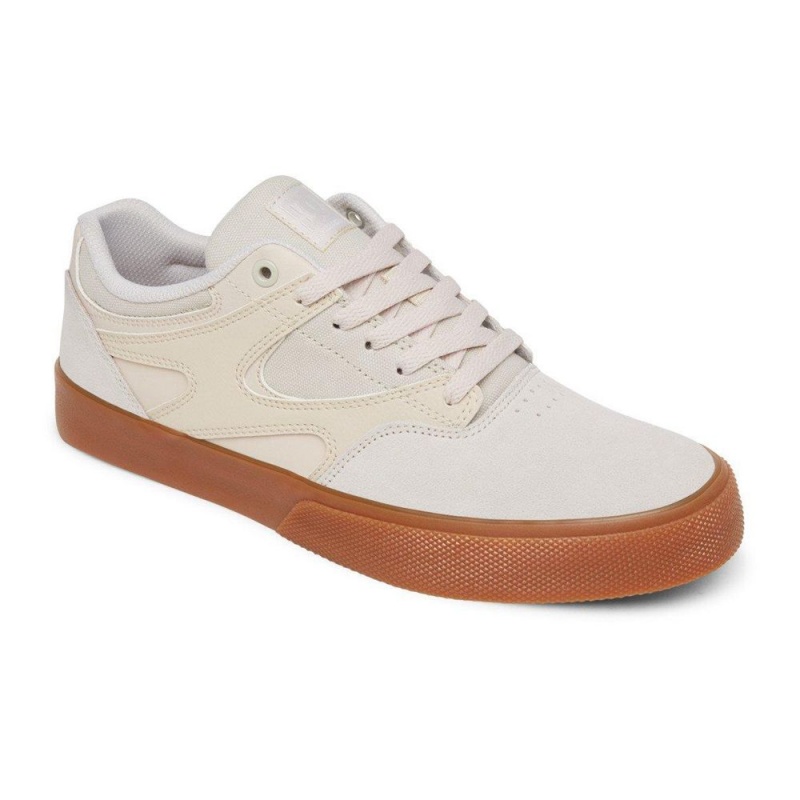 Pánské Skate Boty DC Shoes Kalis Vulc Šedé | YRBM-94203