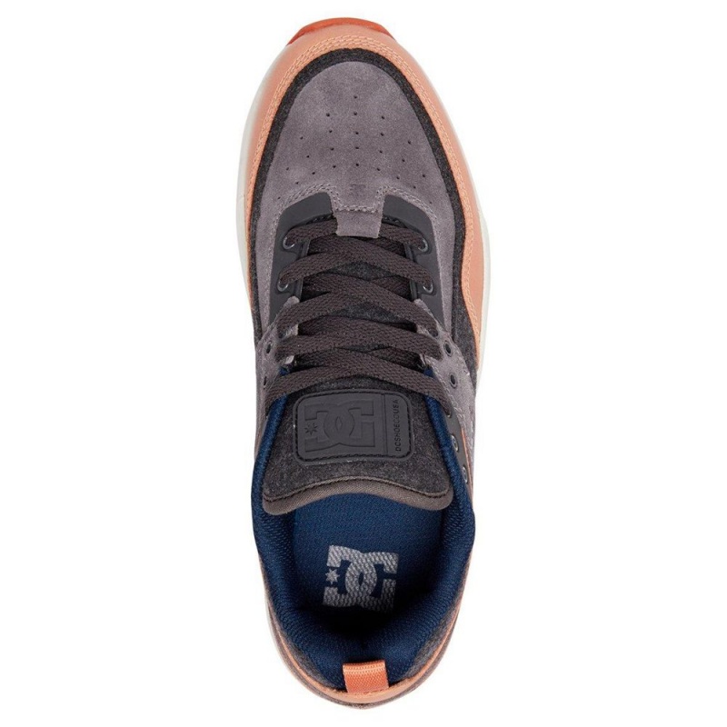 Pánské Sportovní Boty DC Shoes E.Tribeka Šedé Hnědé | DQGJ-18724