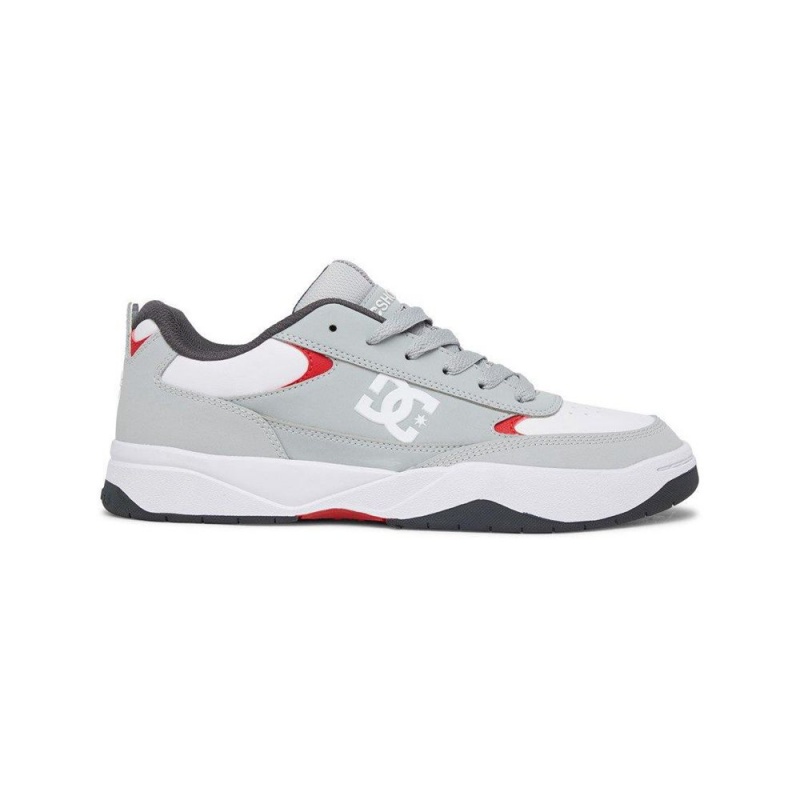 Pánské Sportovní Boty DC Shoes Penza Šedé Bílé | ELDZ-46291